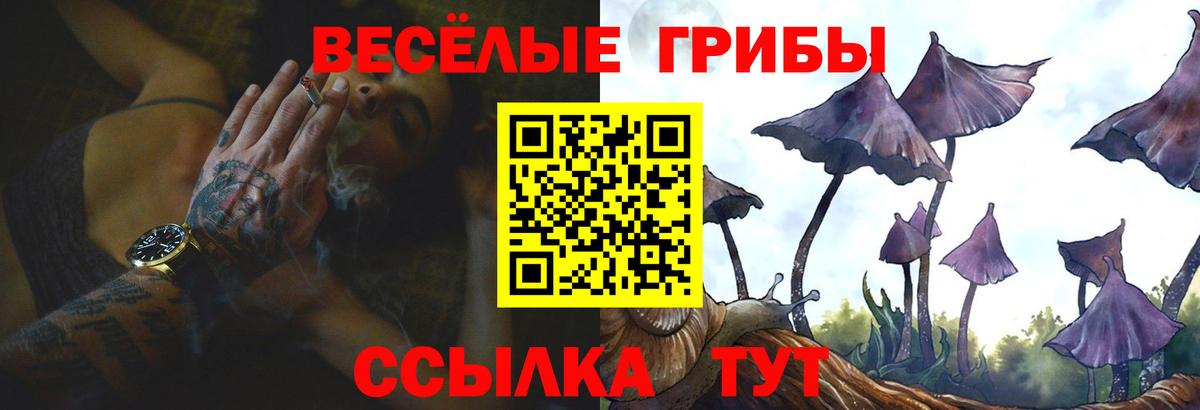 Новый Уренгой  Псилоцибиновые грибы Cubensis  Вход с VPN 